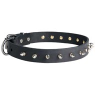 English Pointer Leather Collar Spiked 30 mm English Pointer Leather Collar Spiked 30 mm