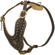 Royal Design Leather English Pointer Harness with Brass Studs Royal Design Leather English Pointer Harness with Brass Studs