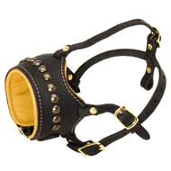 Open Nose Studded Leather English Pointer Muzzle With Nappa Padding Open Nose Studded Leather English Pointer Muzzle With Nappa Padding