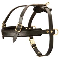 Leather English Pointer Harness for Tracking and Pulling Leather English Pointer Harness for Tracking and Pulling