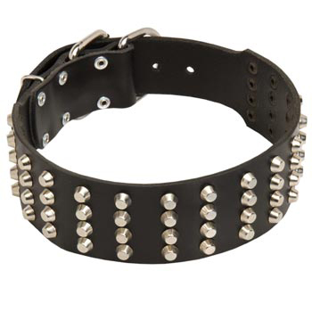 2 Inches Leather   English Pointer Collar Extra Wide Studded