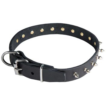 English Pointer Leather Collar with Spikes