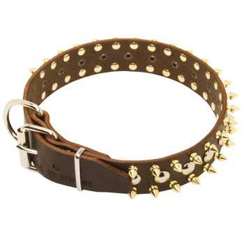 Leather English Pointer Collar with Rust-proof Decoration