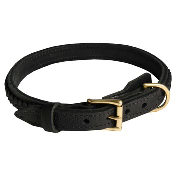 English Pointer Leather Braided Collar with Solid Hardware