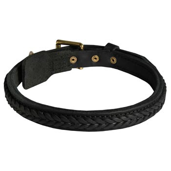 Braided Leather Collar for English Pointer