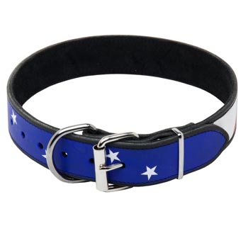 English Pointer Leather Collar With American  Flag Painting