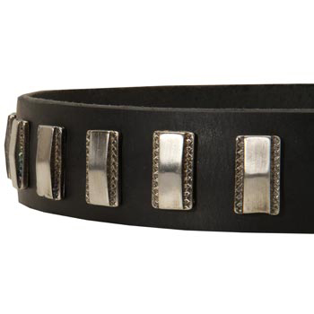 Stylish Leather Collar with Vintage Plates for English Pointer