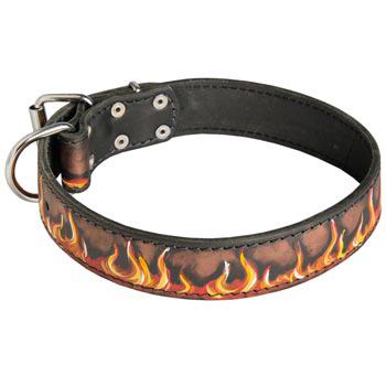 Leather English Pointer Collar Designer for Dog Walking and Training