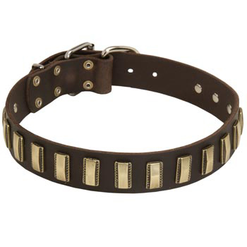 Leather English Pointer Collar Designer for Walking in Style
