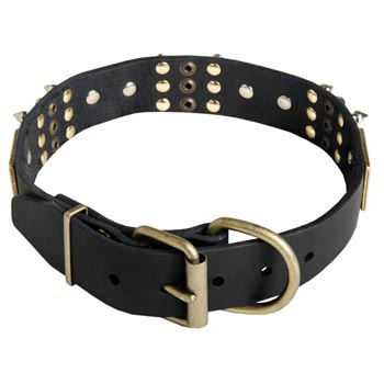 Studded Leather English Pointer Collar for Walking