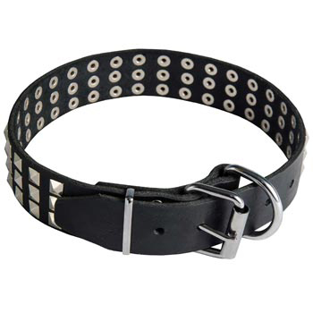 Leather Collar with Pyramids for English Pointer