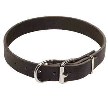 Dog Leather Collar for English Pointer Training and Walking