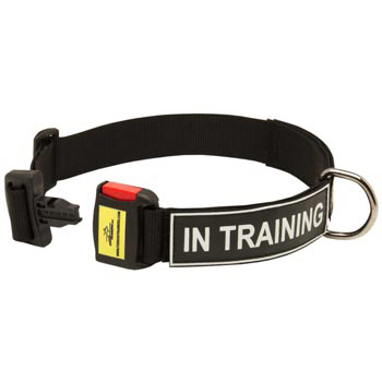 Nylon Dog Collar for English Pointer Police Training