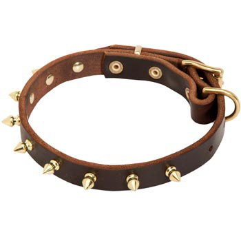 Leather English Pointer Collar with Brass Spikes