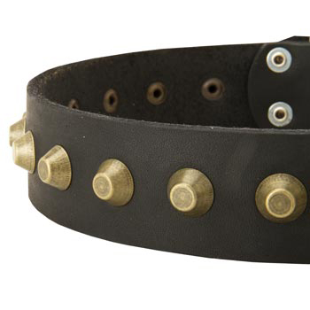 Leather Dog Collar with Brass Pyramids for English Pointer