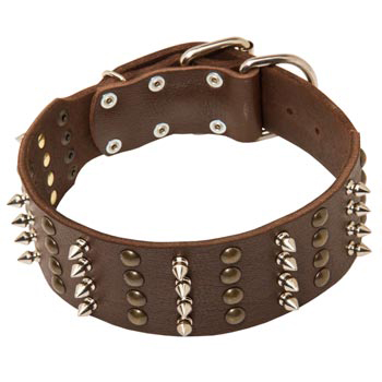 Leather Collar for English Pointer Walking in Style 