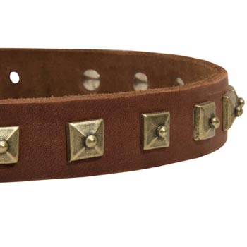 English Pointer Leather Collar With Square  Studs