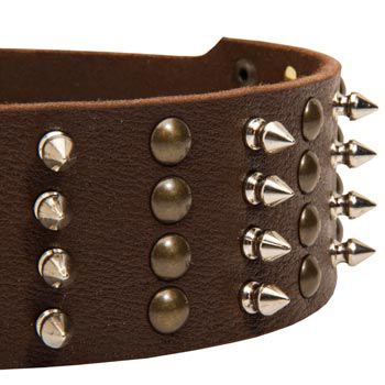 English Pointer Leather Collar with Rust-proof Fittings