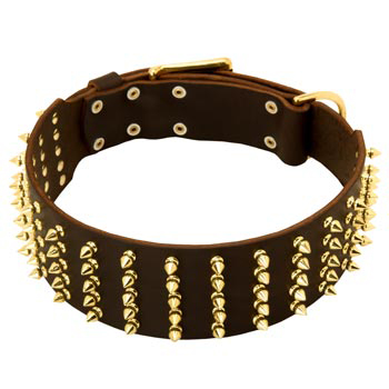Fashionable Spiked Leather English Pointer Collar