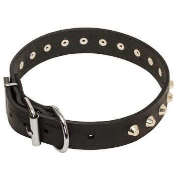 Training Walking Leather Dog Collar with Buckle for English Pointer