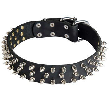 Leather English Pointer Collar with Spikes