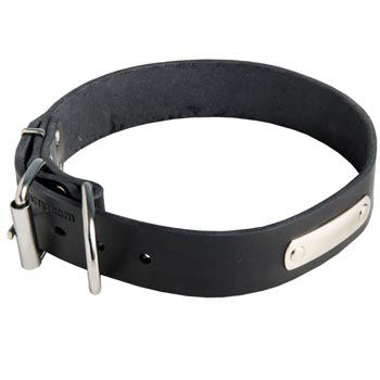 Leather English Pointer Collar for Identification