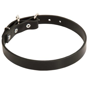 Leather Dog Collar for English Pointer Training