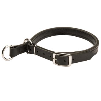 English Pointer Obedience Training Choke  Leather Collar