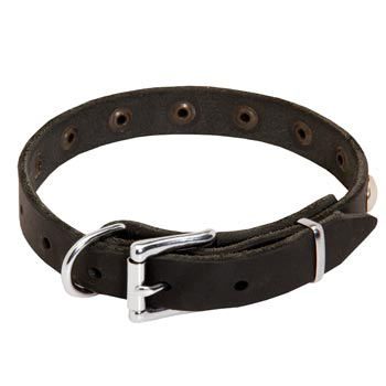 Leather Dog Puppy Collar with Steel Nickel Plated Studs for English Pointer