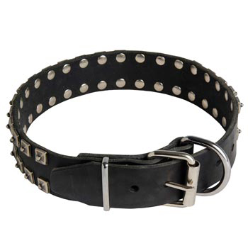 New Buckle Leather English Pointer Collar Studded New Adjustable