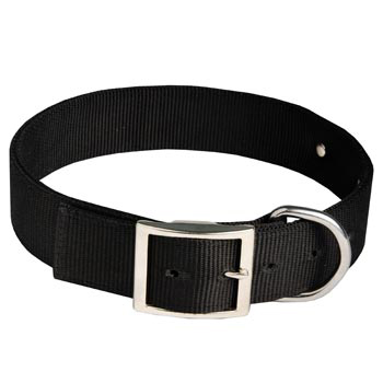 English Pointer Training Collar with ID Tag