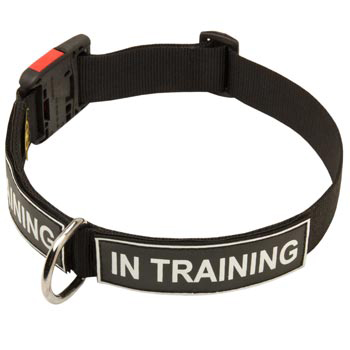 Nylon English Pointer Collar With ID Patches