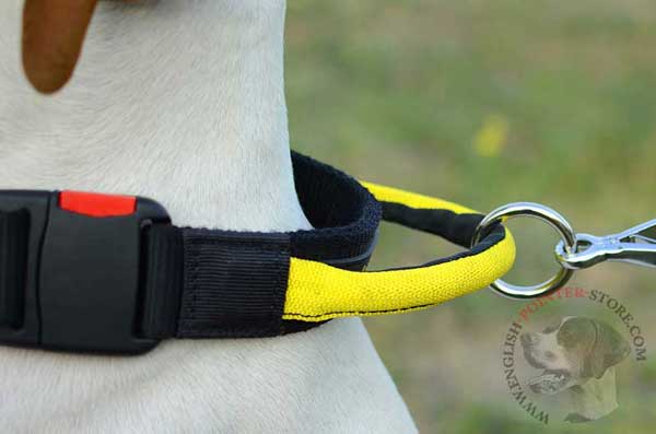 Nylon Dog Collar with O-Ring