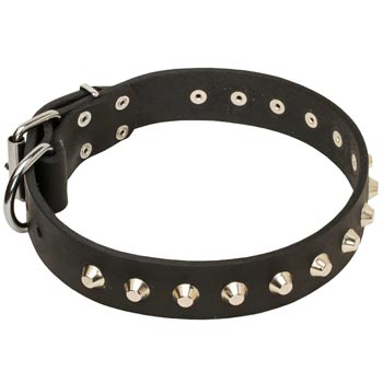 Soft Leather English Pointer Collar with Nickel Studs