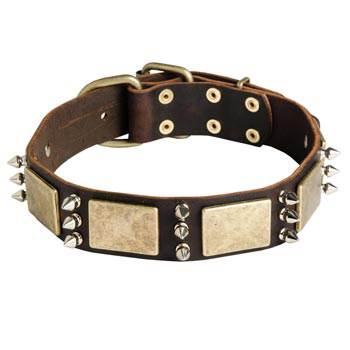 War-Style Leather Dog Collar for English Pointer