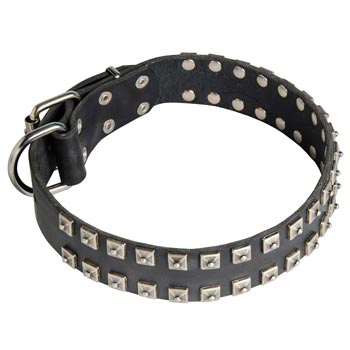 Leather English Pointer Collar Wide Strong Studded