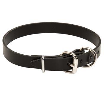 English Pointer Leather Dog Collar For Everyday Training