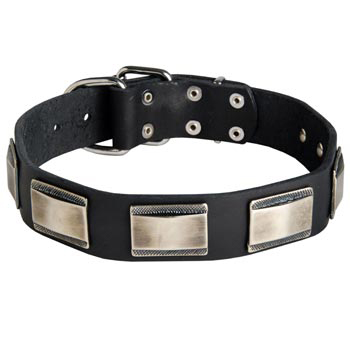 Leather English Pointer Collar with Solid Nickel Plates