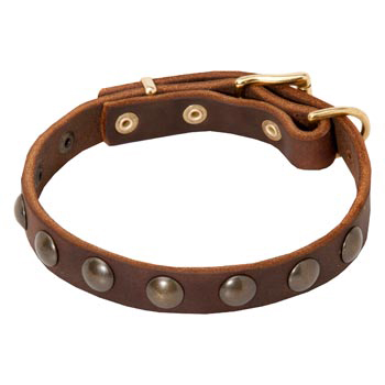 custom leather dog collars
