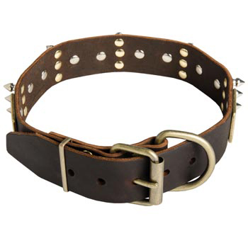 Spiked Leather English Pointer Collar