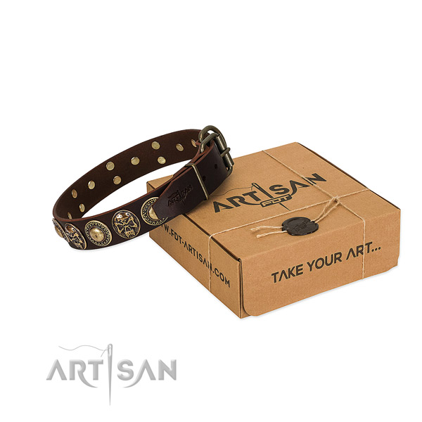 Rust resistant adornments on dog collar for stylish walking
