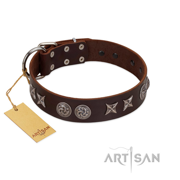 Daily use dog collar of leather with inimitable adornments