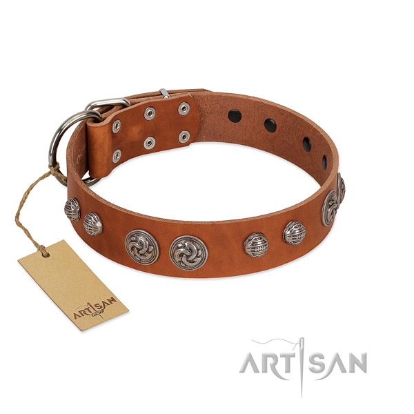 Corrosion resistant D-ring on full grain natural leather dog collar for your doggie