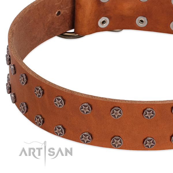 Stylish design leather dog collar for daily use