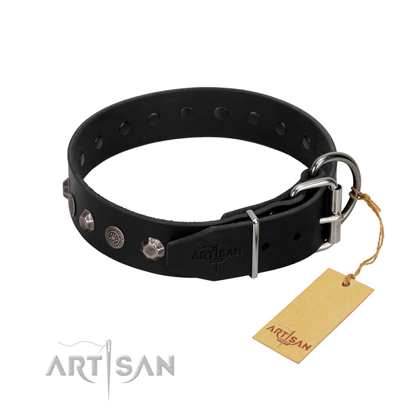 Rust-proof buckle on genuine leather dog collar for walking
