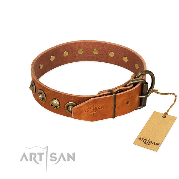 Natural leather collar with trendy embellishments for your pet