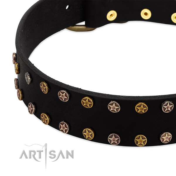 Awesome decorations on full grain leather collar for your four-legged friend