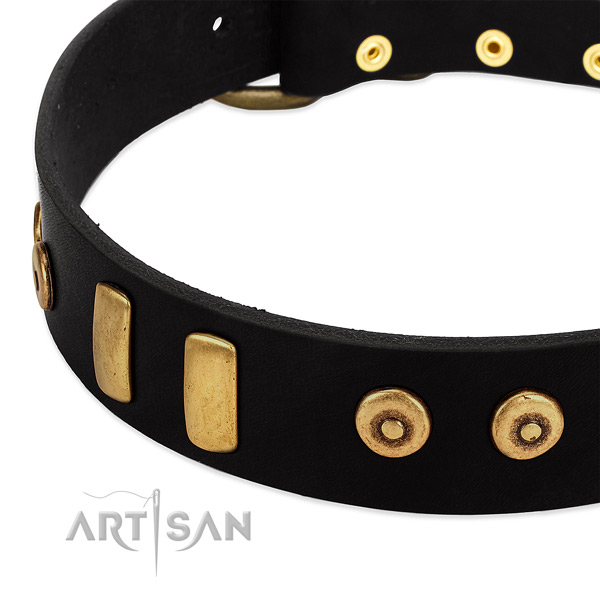 Gentle to touch full grain leather collar with incredible studs for your dog