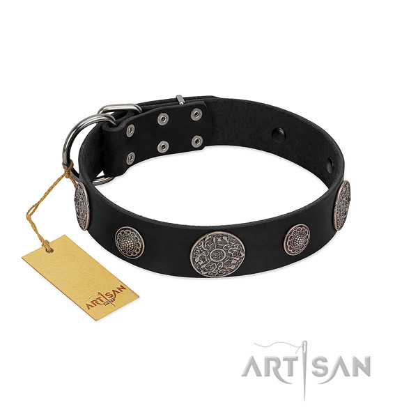 Extraordinary leather collar for your attractive canine