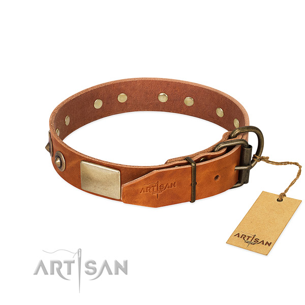 Strong embellishments on natural genuine leather dog collar for your dog